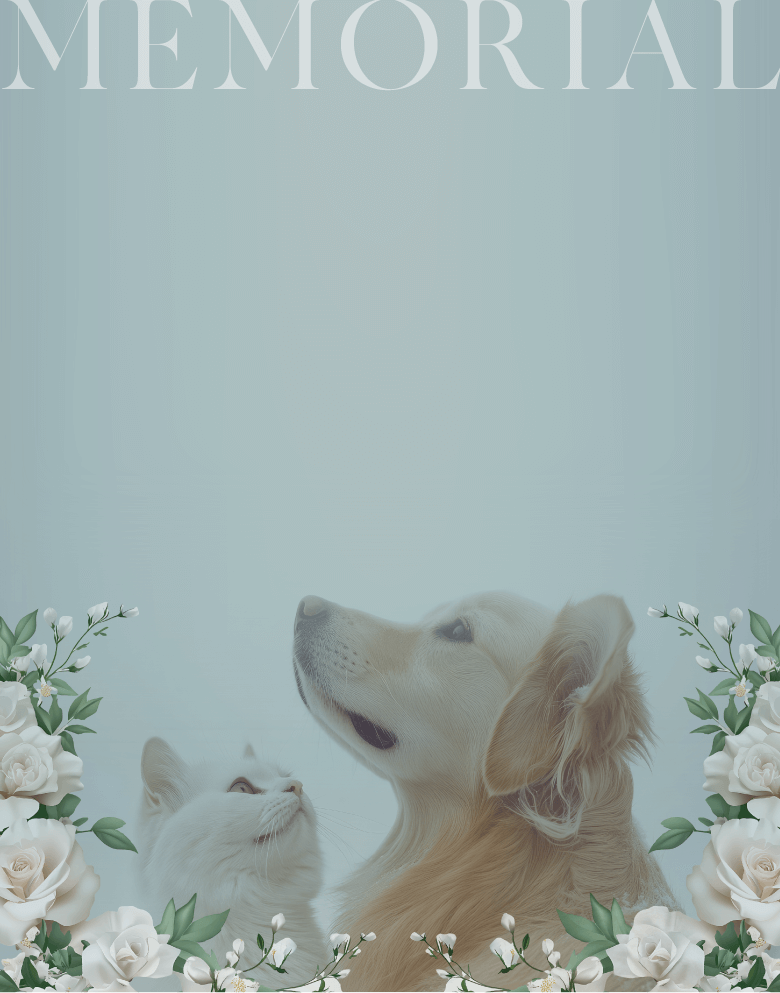 メモリアルグッズのご案内