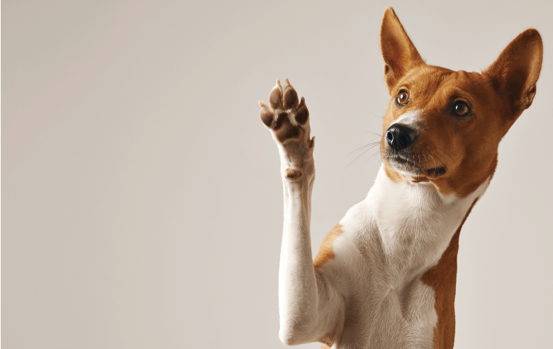 はじめてご利用の方へ